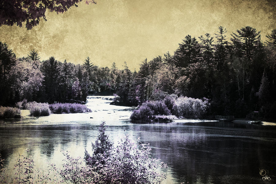 Lower Tahquamenon Falls in Blueberry Coffee Photograph by Evie Carrier