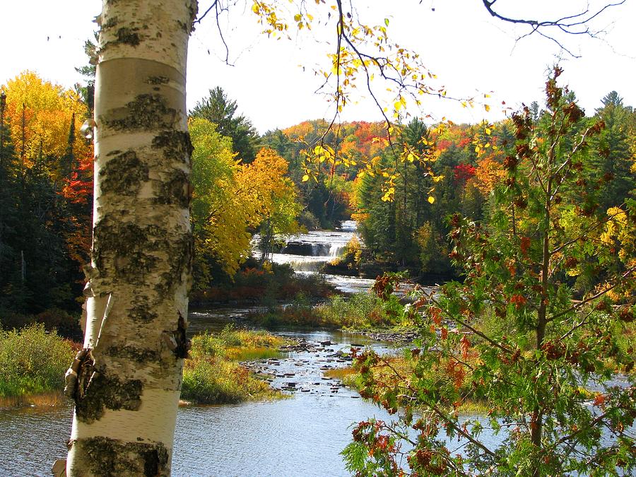 Lower Tahquamenon Falls in October No 1 Photograph by Keith Stokes