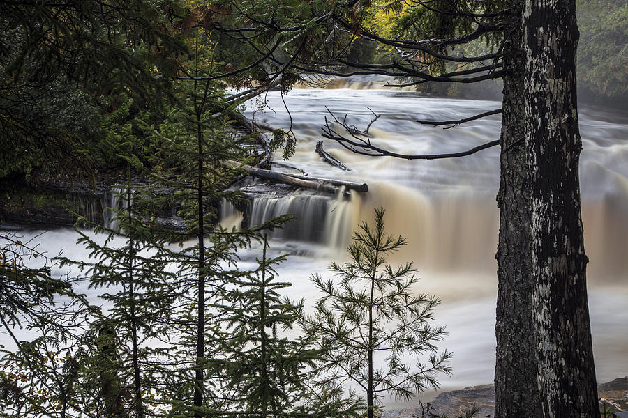 Lower Tahquamenon Falls and trees Photograph by John McGraw