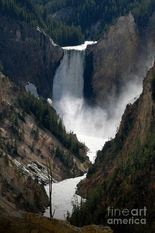 Lower Yellowstone Falls 02 Photograph by E B Schmidt