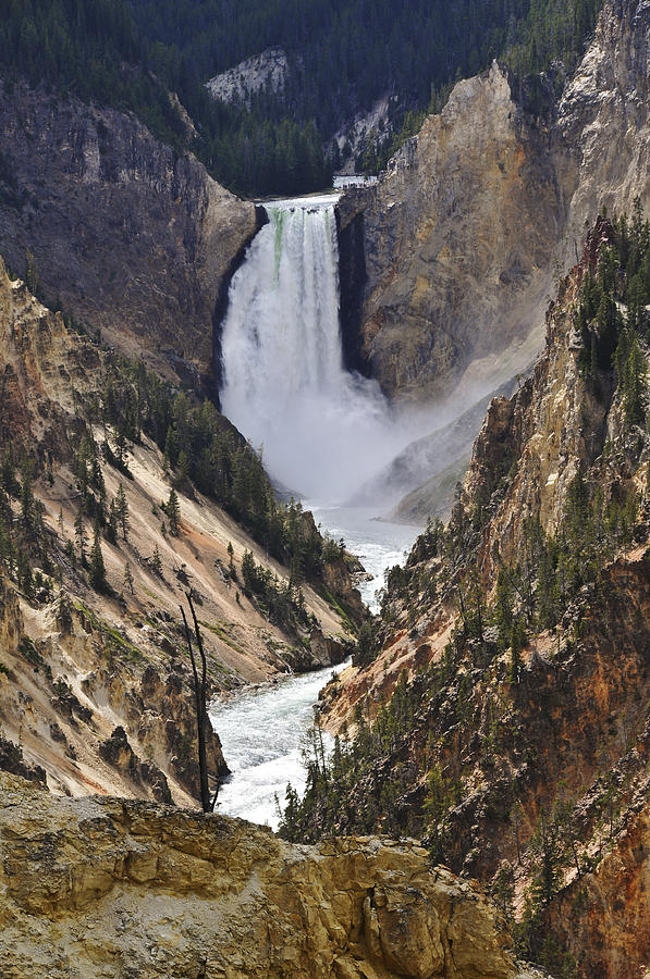 Lower Yellowstone Falls 2 Photograph by Lee Kirchhevel