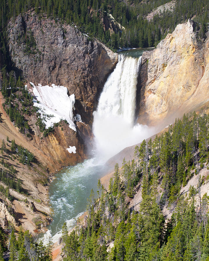 Lower Yellowstone Falls Photograph by Aaron Spong