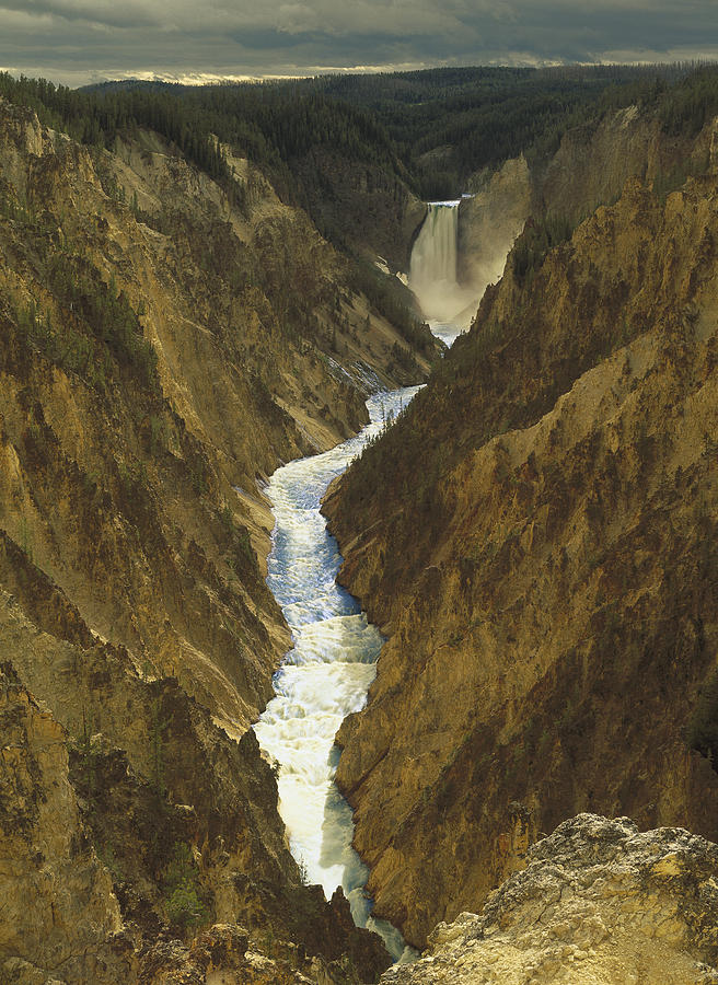 Yellowstone National Park Photograph - Lower Yellowstone Falls And Grand by Tim Fitzharris