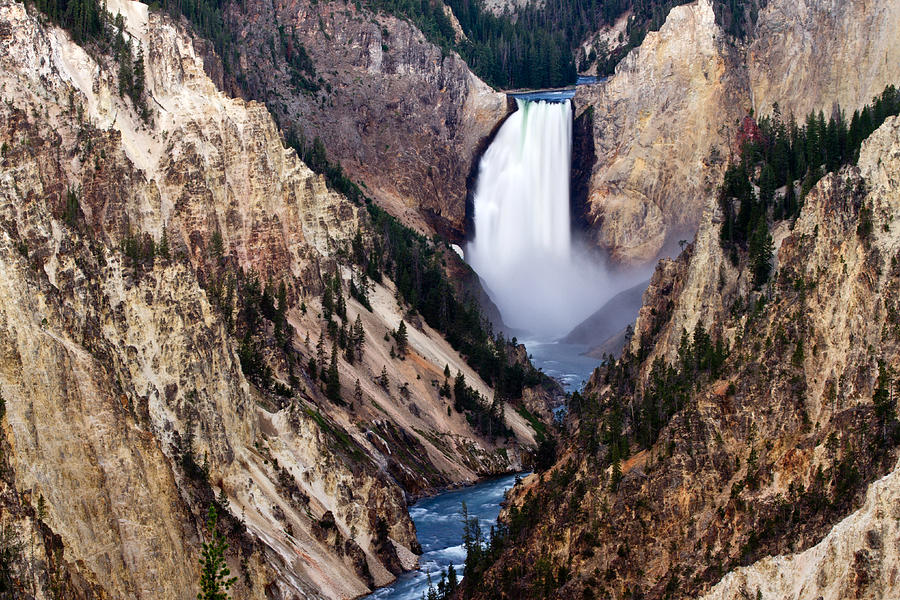 Lower Yellowstone Falls Photograph by Bill Gallagher