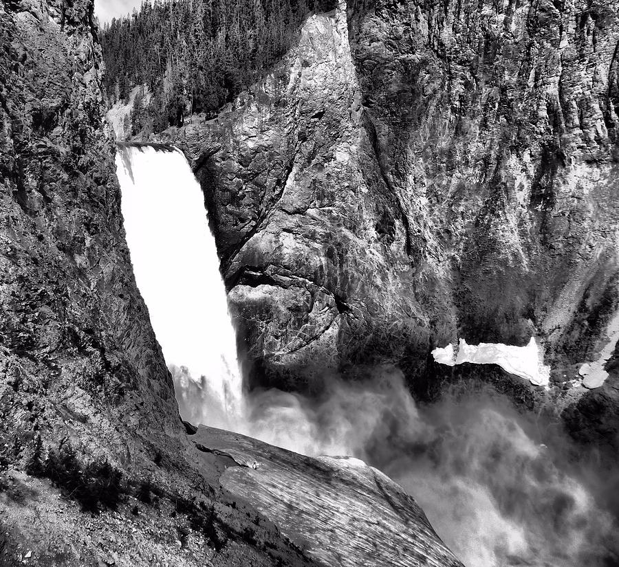 Lower Yellowstone Falls Black And White Photograph by Dan Sproul