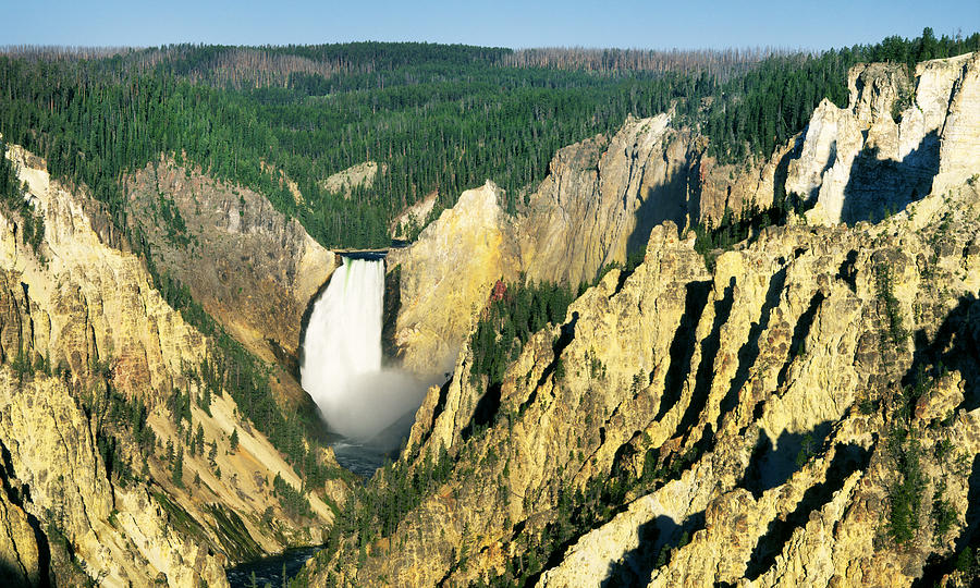 Lower Yellowstone Falls Photograph by Buddy Mays