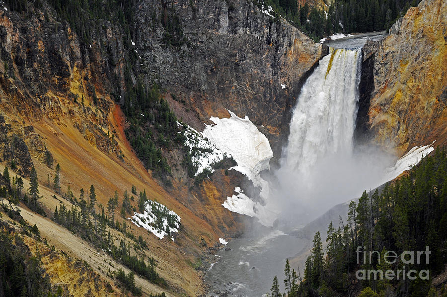 Lower Yellowstone Falls Photograph by Cindy Murphy - NightVisions
