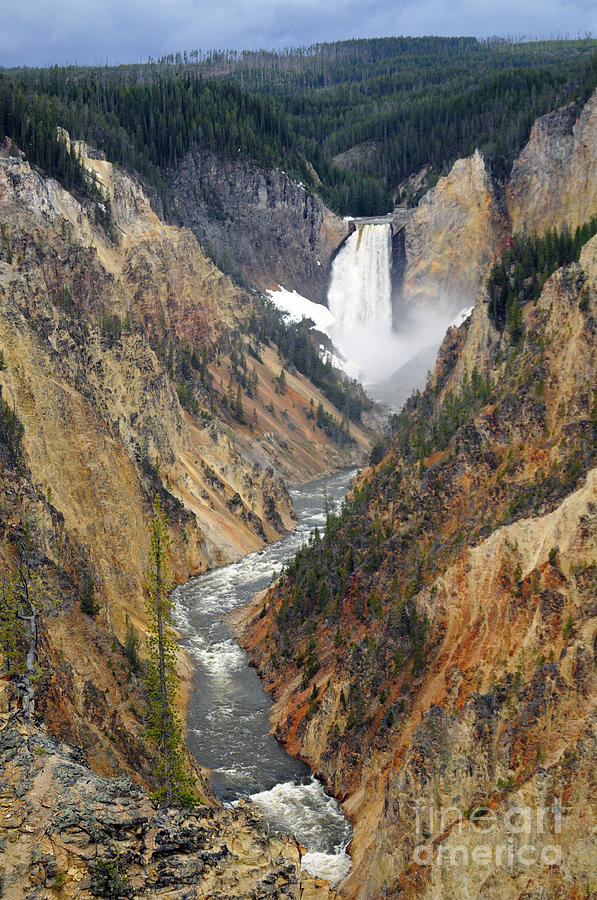 Lower Yellowstone Falls Photograph by Cindy Murphy - NightVisions 