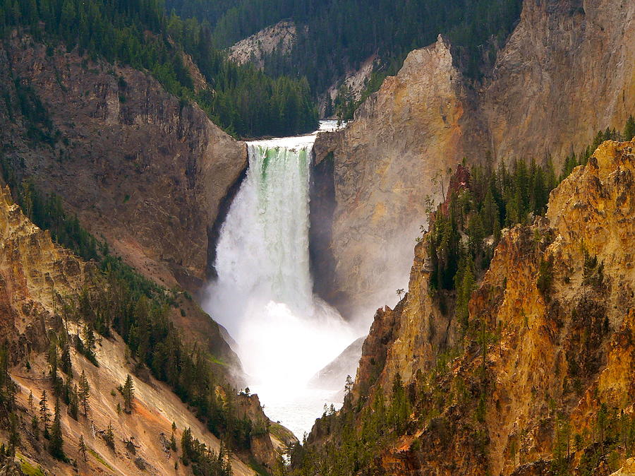 Lower Yellowstone Falls Photograph by Eric Tressler