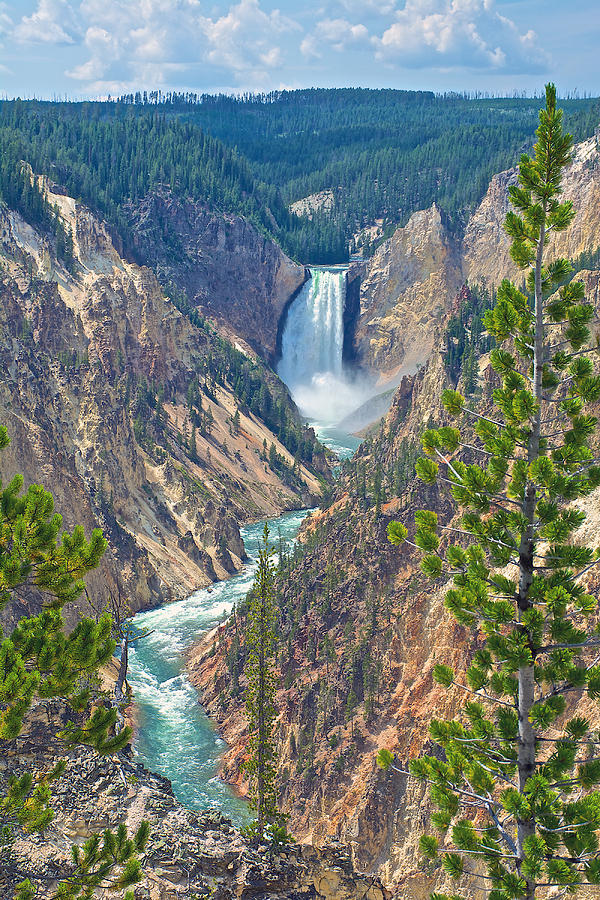 Lower Yellowstone Falls from Artists Point on South Rim of Grand Canyon of the Yellowstone-Wyoming Photograph by Ruth Hager