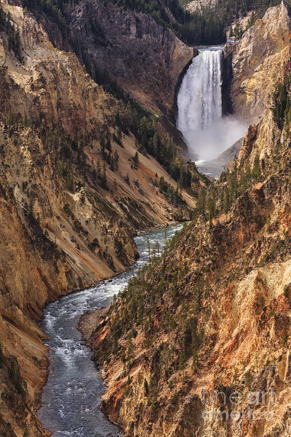 Yellowstone National Park Photograph - Lower Yellowstone Falls II by Mark Kiver