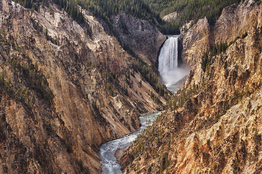 Yellowstone National Park Photograph - Lower Yellowstone Falls by Mark Kiver