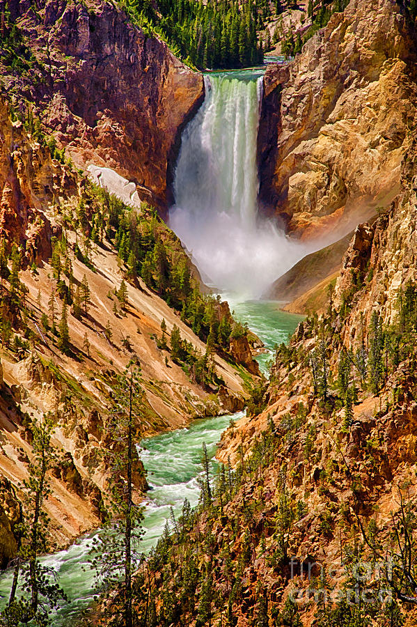 Lower Yellowstone Falls Photograph by Priscilla Burgers
