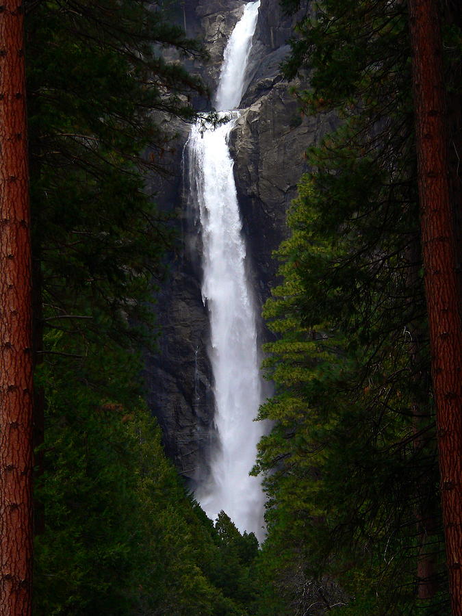Lower Yosemite Falls Photograph by Jeff Lowe