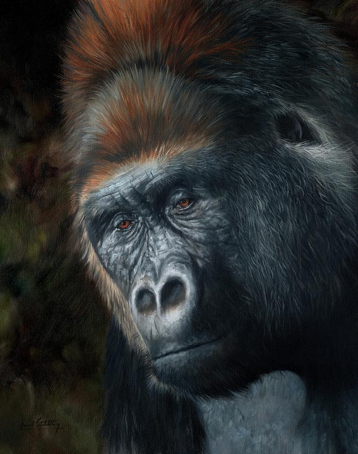 Wildlife Painting - Lowland Gorilla Painting by David Stribbling