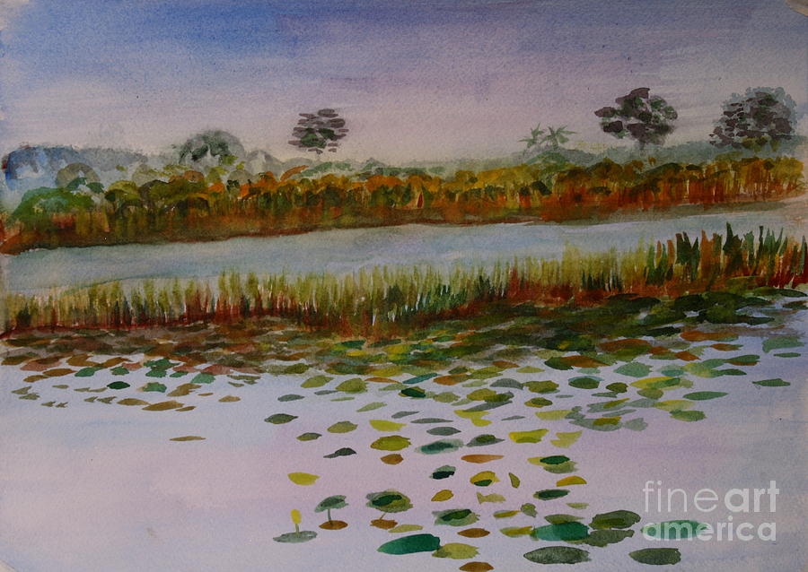 Loxahatchee Nature Preserve Painting by Donna Walsh