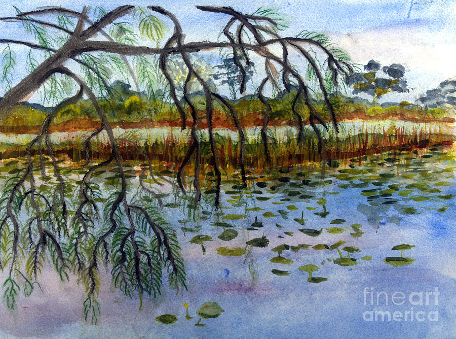 Nature Painting - Loxahatchee Water Lily Pond by Donna Walsh