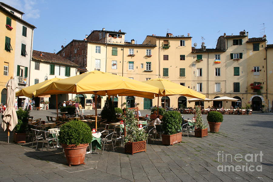 Landscape Photograph - Lucca Piazza Del Mercato  by Christiane Schulze Art And Photography