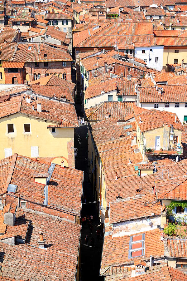Summer Photograph - Lucca Roofs by Valentino Visentini