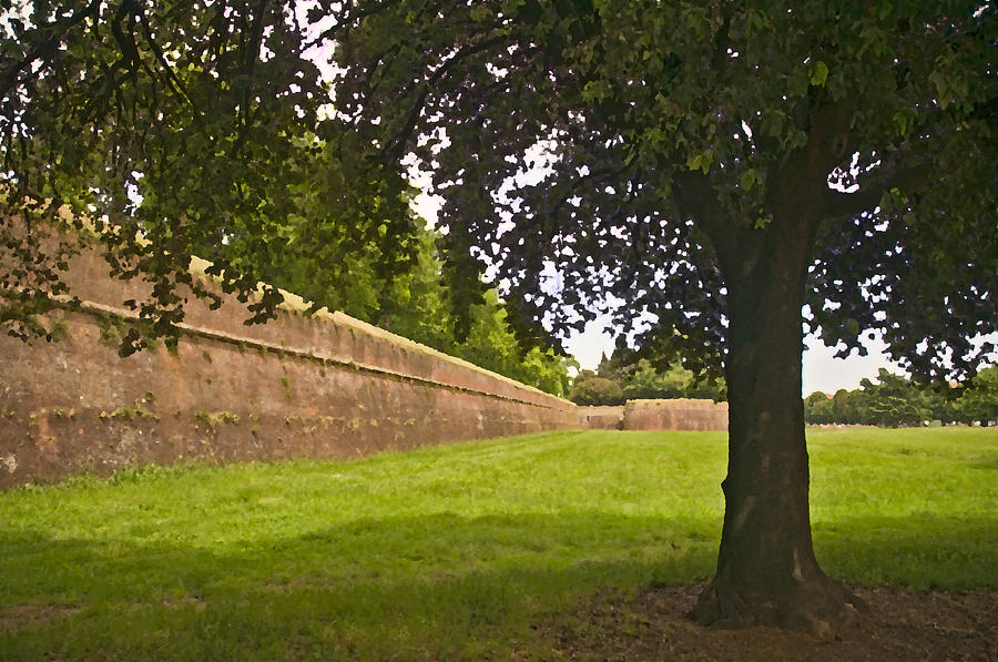 Lucca Walls Photograph