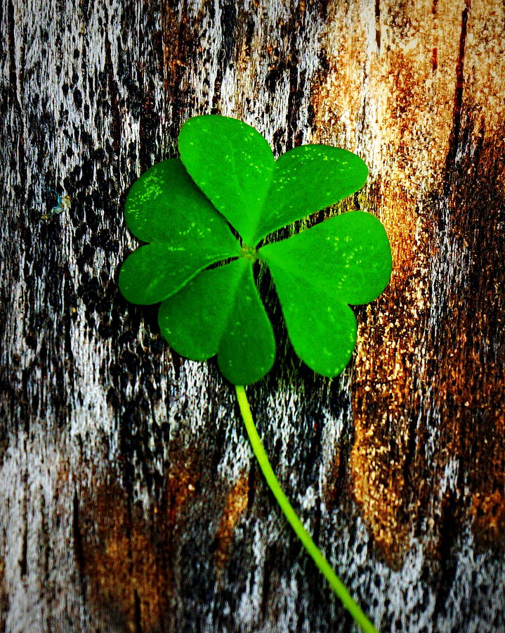 Luck Photograph by Paul Wilford