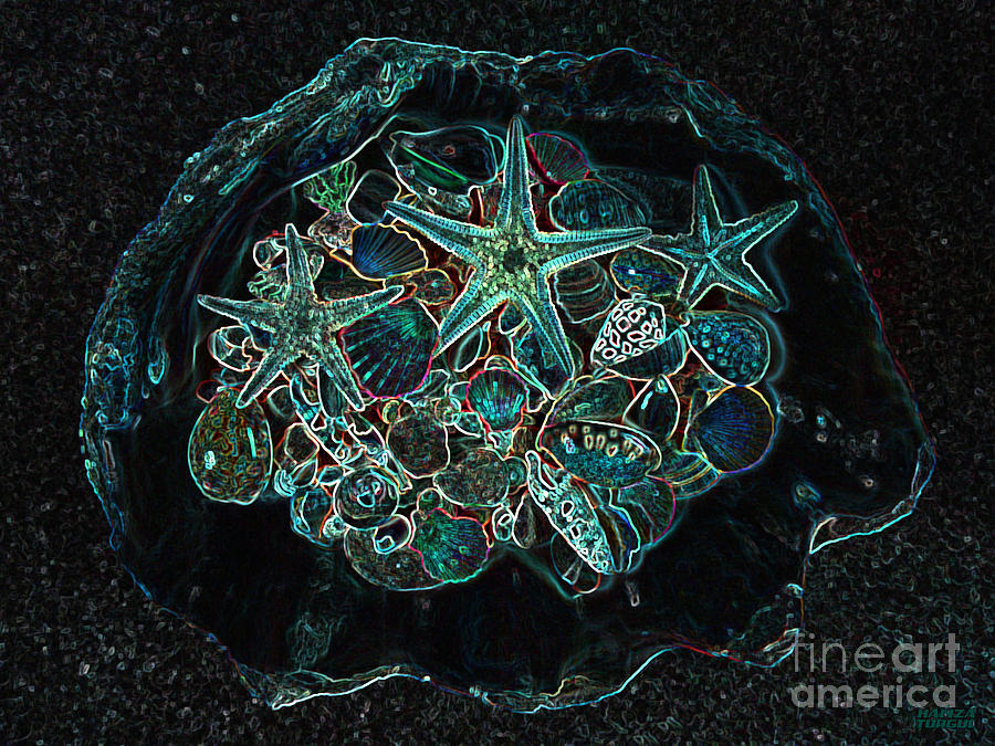 Shell Photograph - Lucky Blue Seashells And Starfish - Lucky Black Series by Hanza Turgul