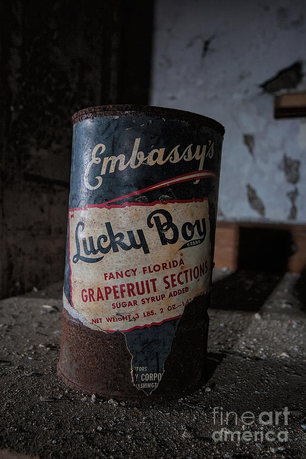 Lucky Boy Photograph by Rick Kuperberg Sr