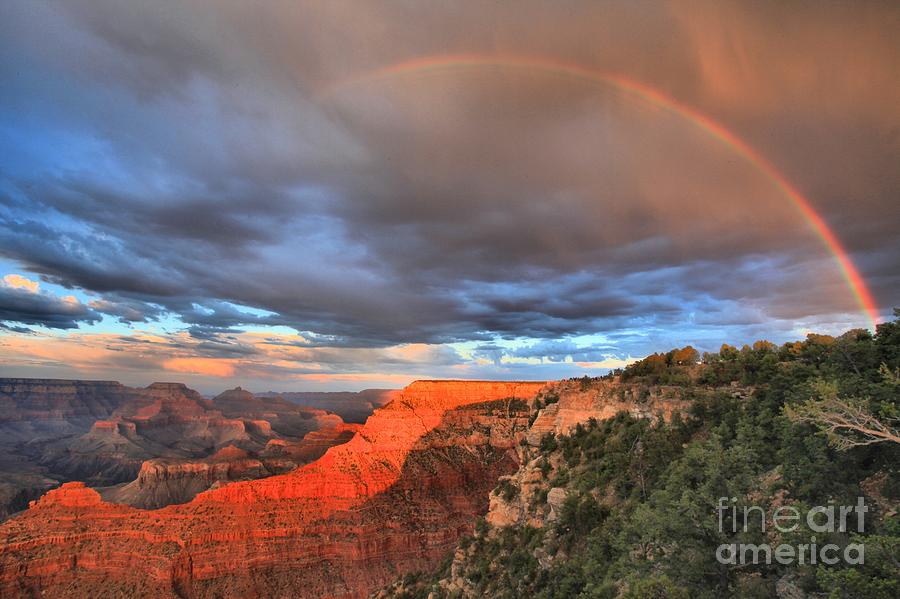 Lucky Charms At Grand Canyon Photograph by Adam Jewell