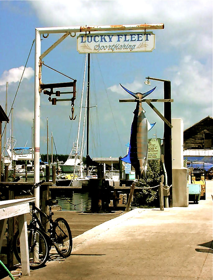 LUCKY FLEET Key West  Painting by Iconic Images Art Gallery David Pucciarelli