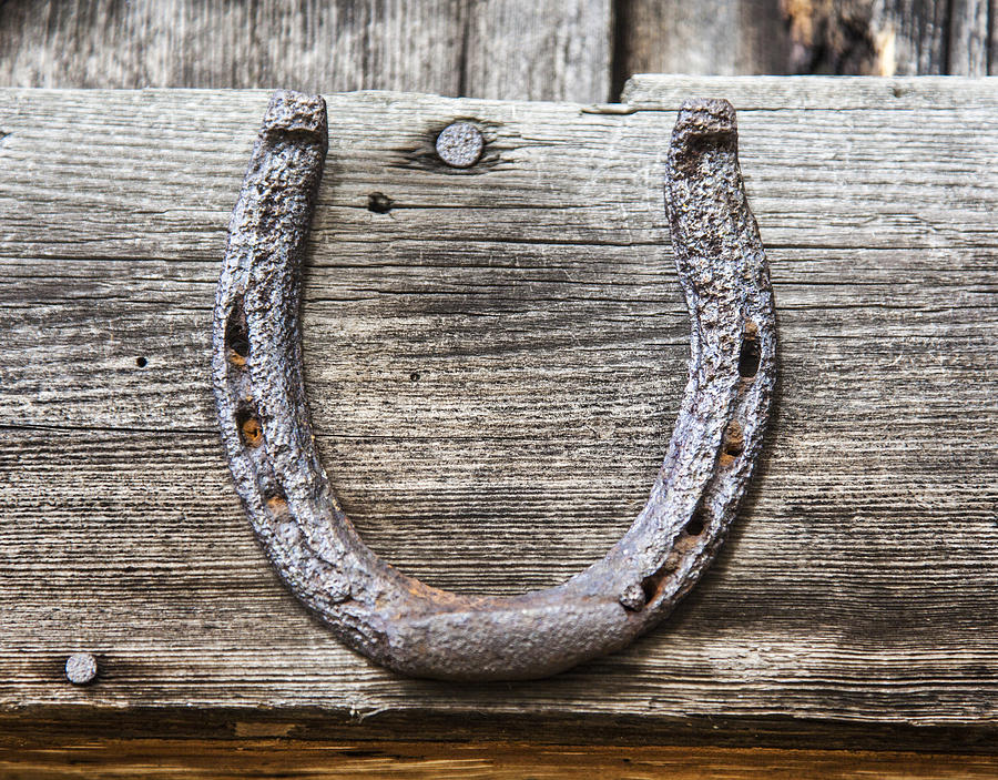Lucky Horseshoe Photograph by Charles Harden
