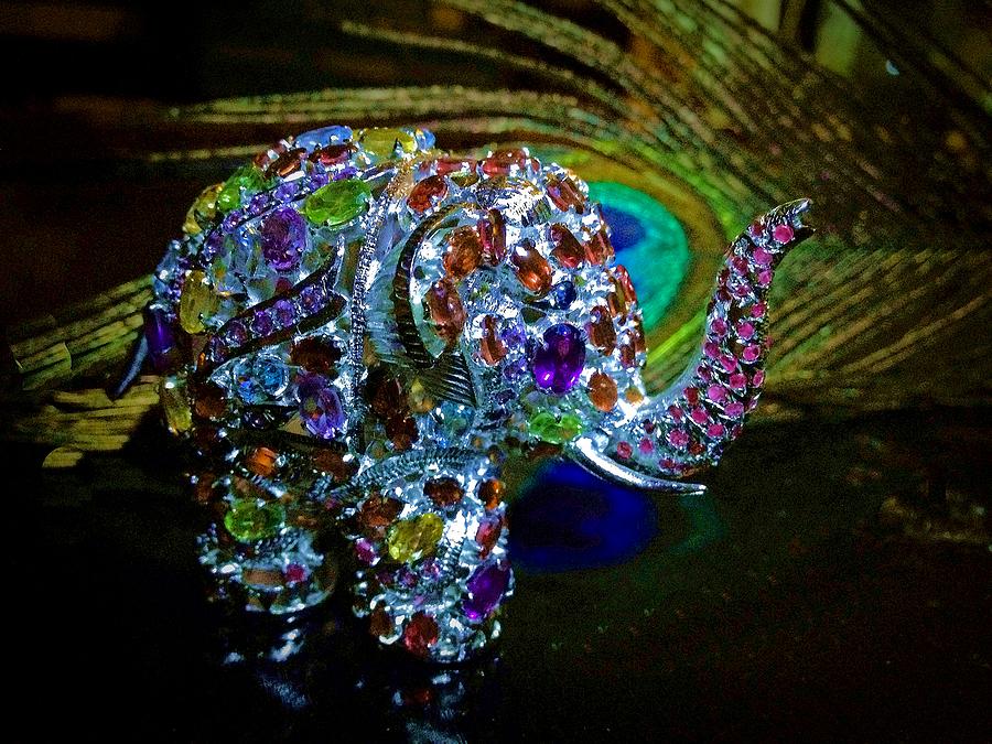 Lucky Jeweled Elephant Photograph by Susan Maxwell Schmidt