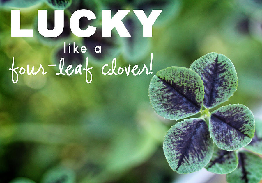 Lucky like a Clover Mixed Media by Nancy Ingersoll