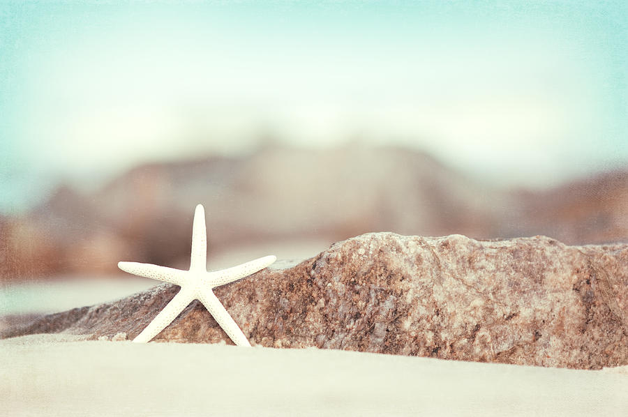 Summer Photograph - Lucky Star - Calming Beach Photography by Carolyn Cochrane