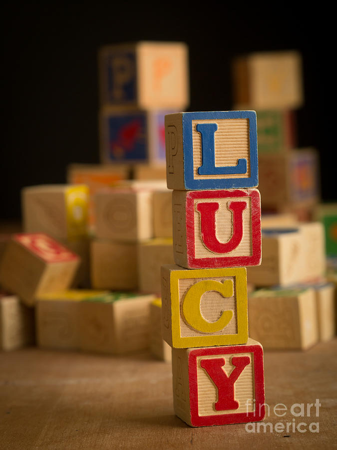 LUCY - Alphabet Blocks Photograph by Edward Fielding