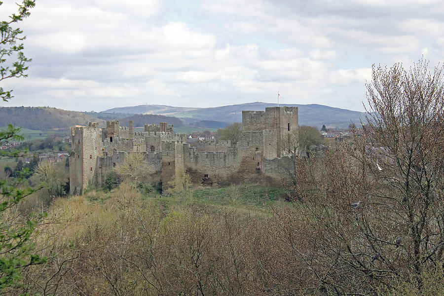 Ludlow Castle Photograph by Tony Murtagh
