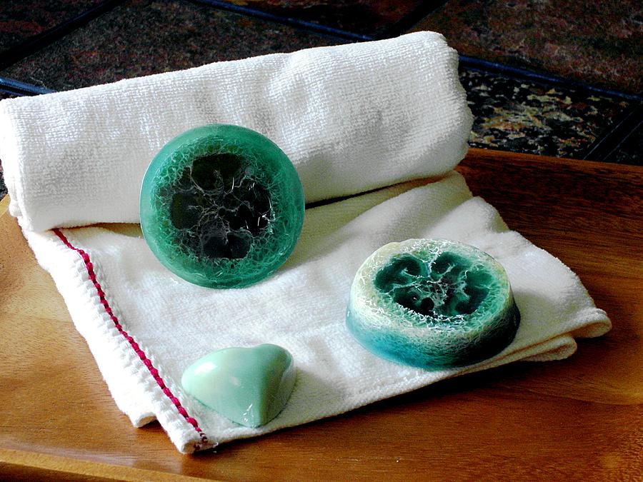 Luffa Turquoise Soap Photograph by Anastasiya Malakhova