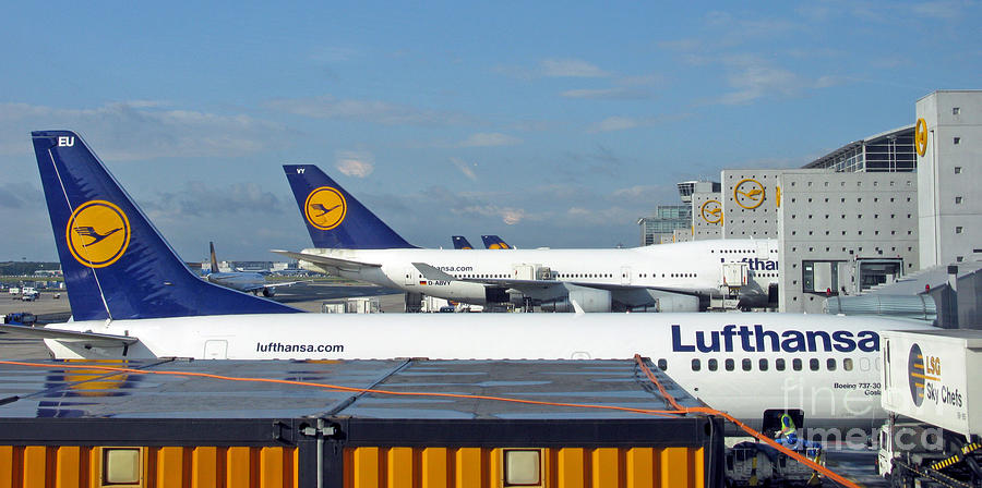 Transportation Photograph - Lufthansa Birds At Frankfurt Airport by Ausra Huntington nee Paulauskaite