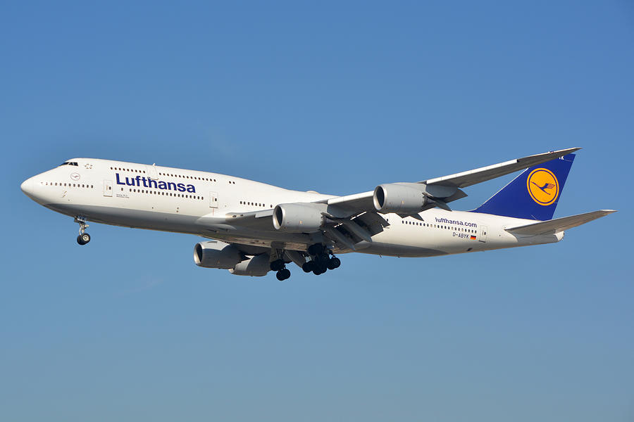 Airplane Photograph - Lufthansa Boeing 747-830 D-ABYK LAX January 19 2015 by Brian Lockett