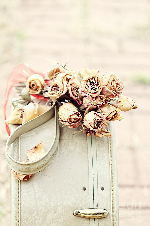 Flower Photograph - Luggage and Dried Roses by Stephanie Frey