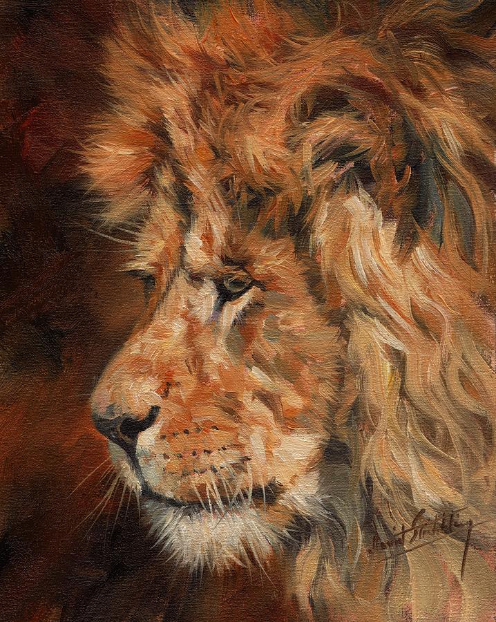 Lion Painting - Luion by David Stribbling