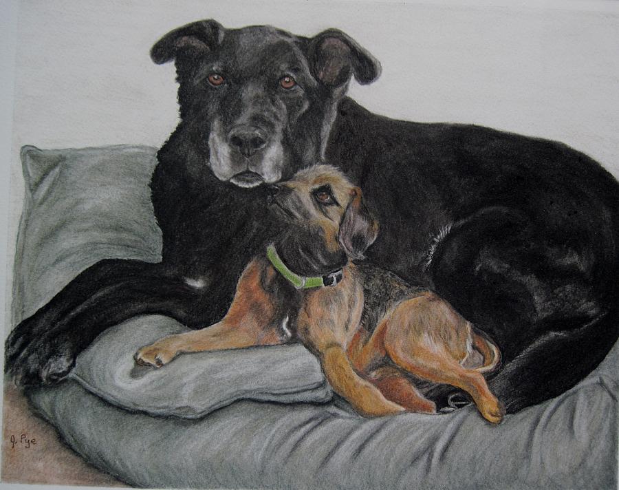 Dog Drawing - Lulu and Taxi by Joan Pye