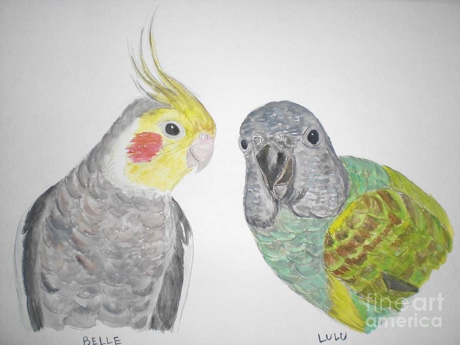 Bird Painting - Lulu the Senegal and Belle the Cockatiel by Nami ODonnell