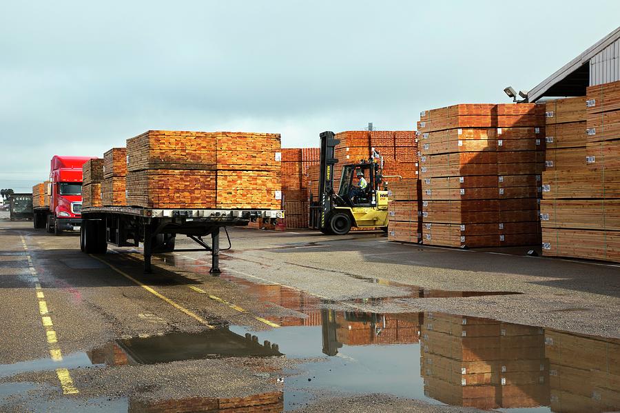 Transportation Photograph - Lumber Cargo by Jim West