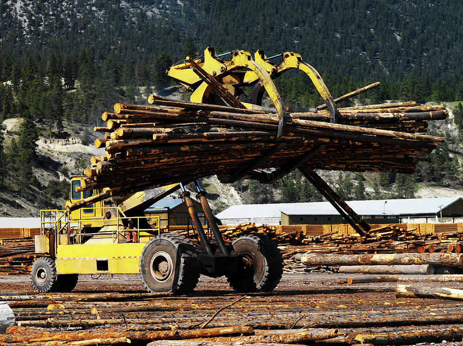 Lumber Mill Photograph by Steve Allen/science Photo Library