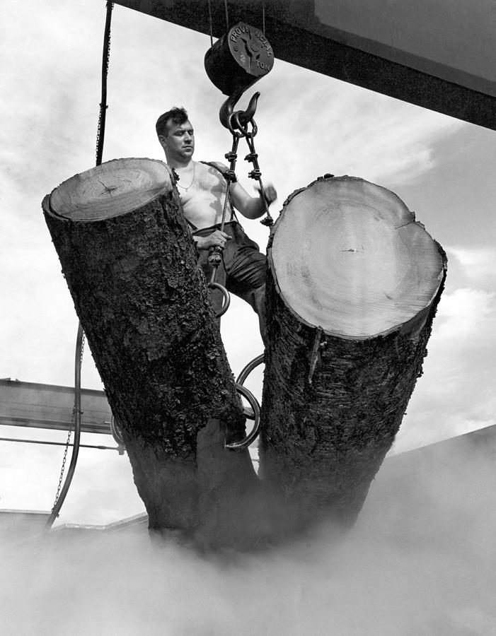 Architecture Photograph - Lumber Mill Worker by Underwood Archives