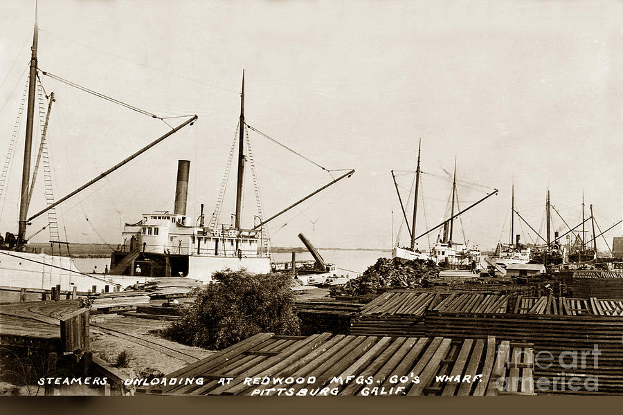 Boat Photograph - Lumber Steamers unloading at Redwood Mfg. Co.s Wharf Pittsburg Circa 1920 by Monterey County Historical Society