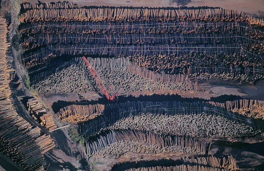Lumber Yard In Roseburg, Or Photograph by Peter Essick