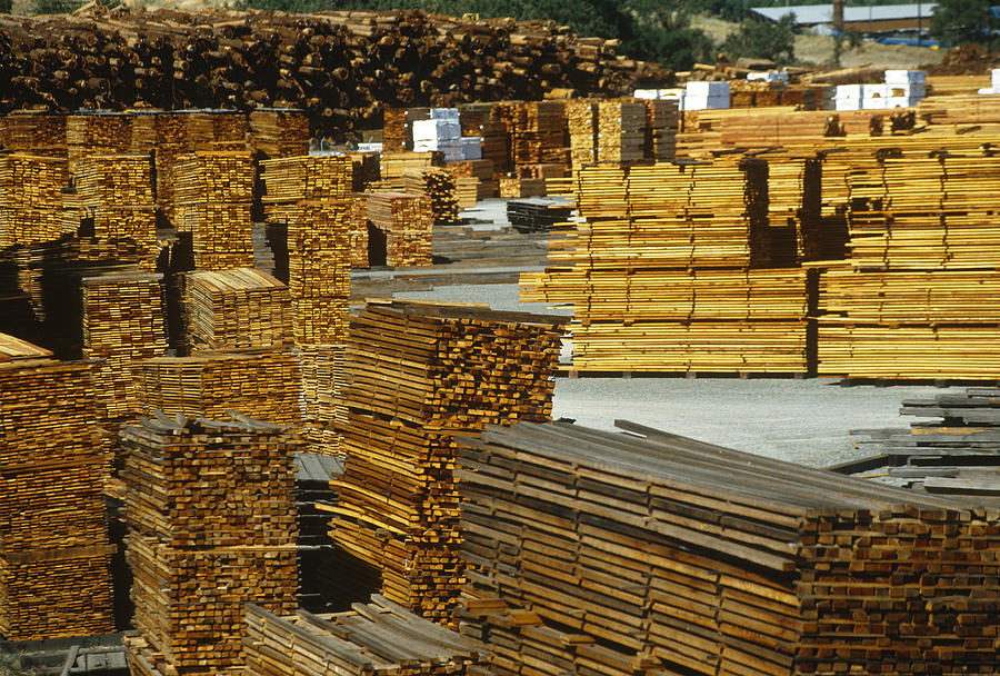 Lumber Yard Photograph by Joseph Sohm