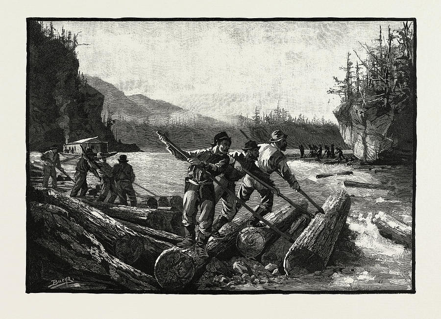 Lumbermen At Work, The Drive, Lumbering, Canada Drawing by Canadian School