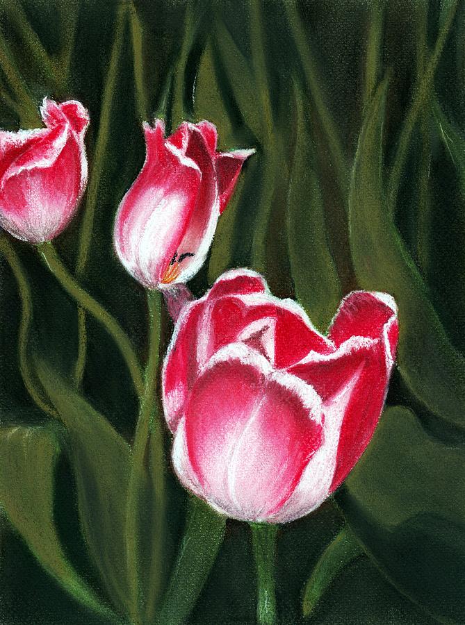 Tulip Painting - Luminous by Anastasiya Malakhova